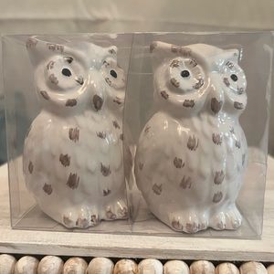 ⚡️Element Owl Salt & Pepper Shakers